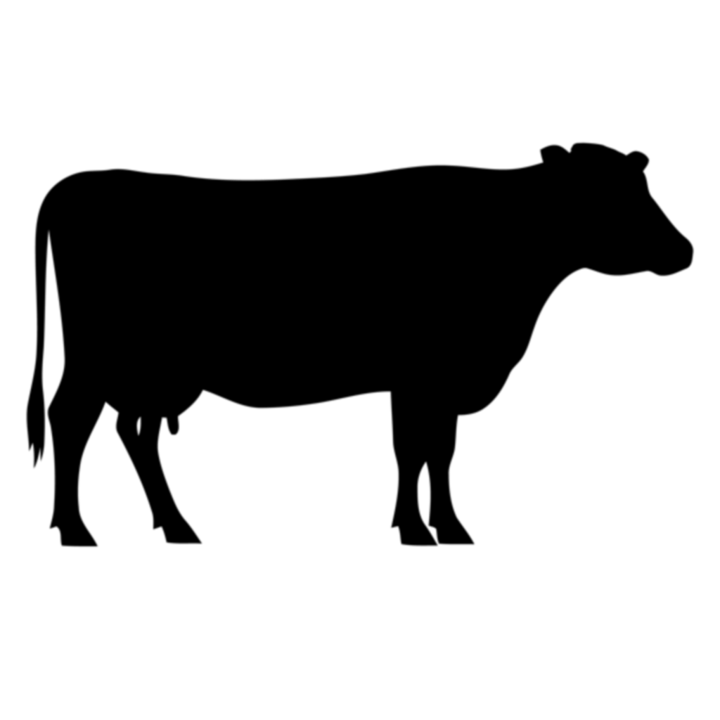 img 8456.png